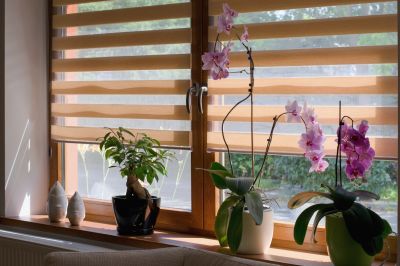 Elegant Plantation Shutters